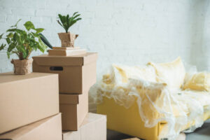close up view of cardboard boxes in room